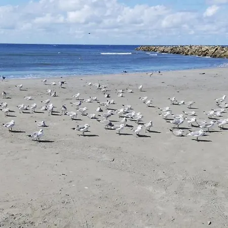 Excelente Vista Al Mar