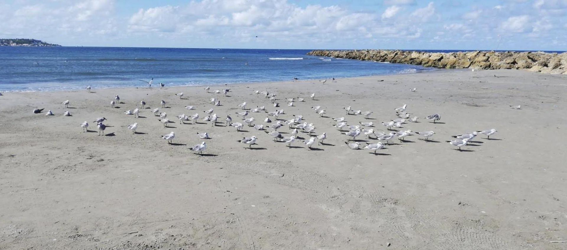 Excelente Vista Al Mar