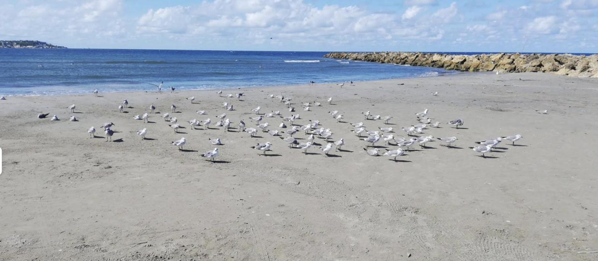 Excelente Vista Al Mar